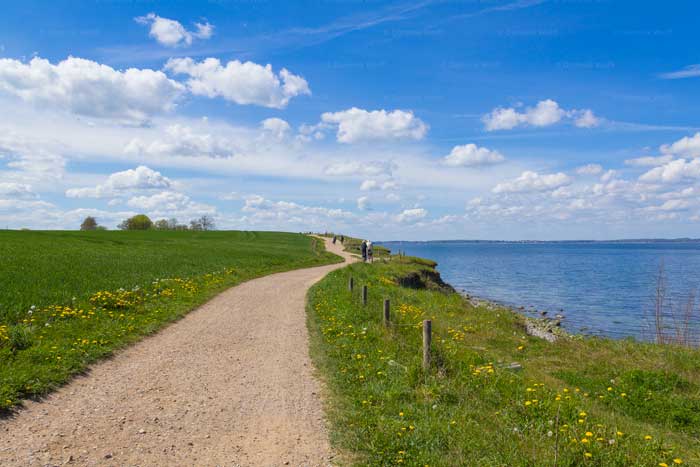 Frühling am Brodtener Steilufer