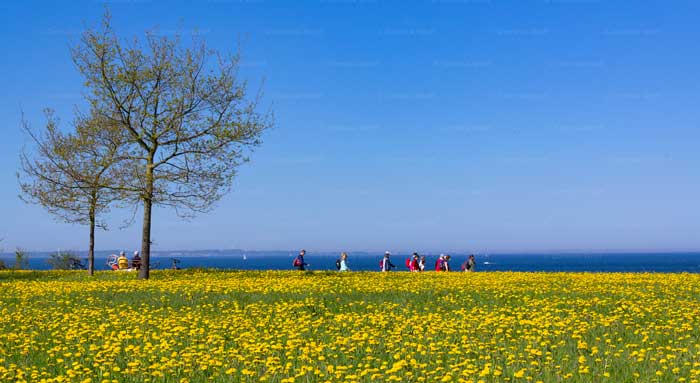 Ein Frühlingstag am Brodtener Steilufer