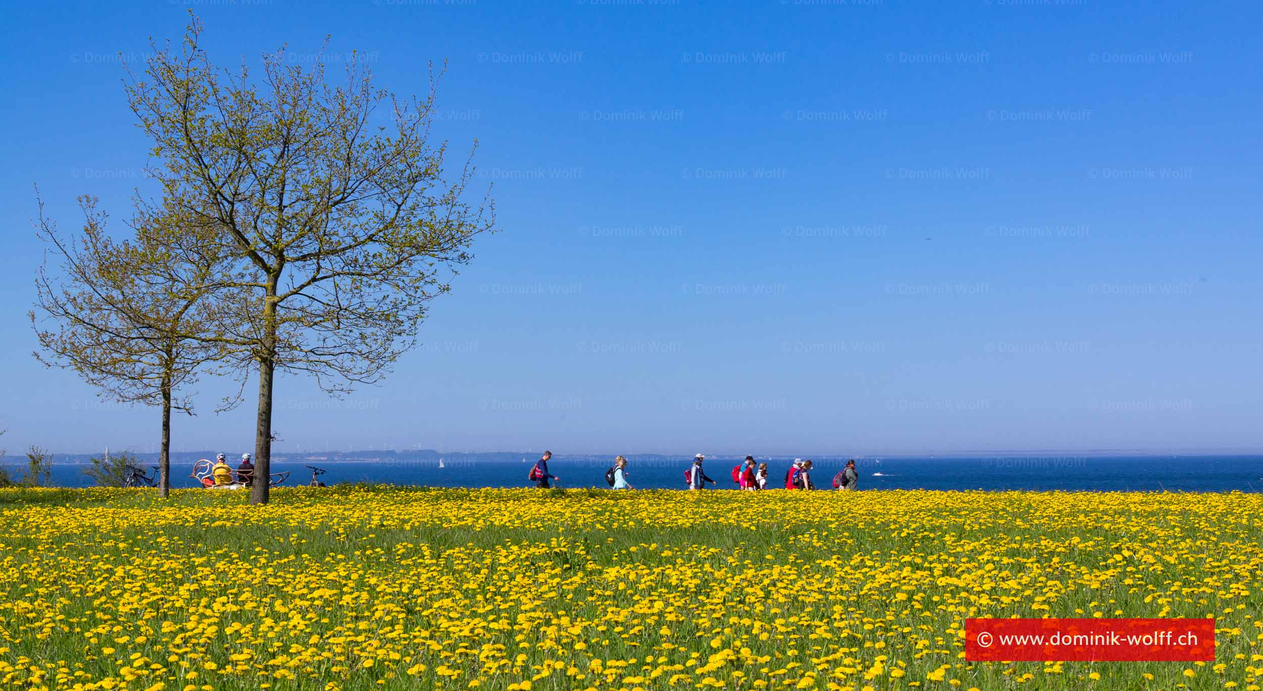 Ein Frühlingstag am Brodtener Steilufer