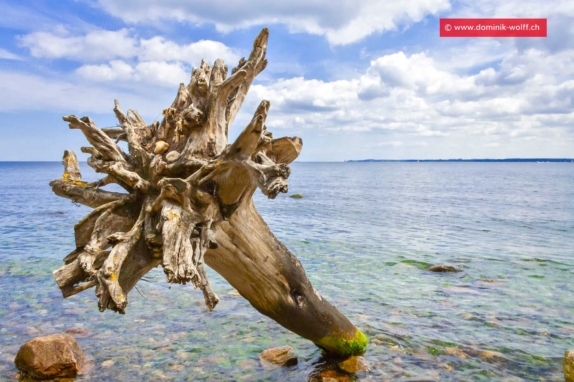 Bild + Foto - Wandern an der Lübecker Bucht