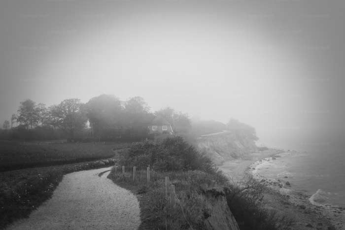 Nebel am Brodtener Steilufer