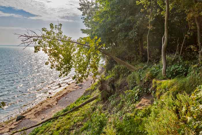 Brodtener Steilküste an der Ostsee