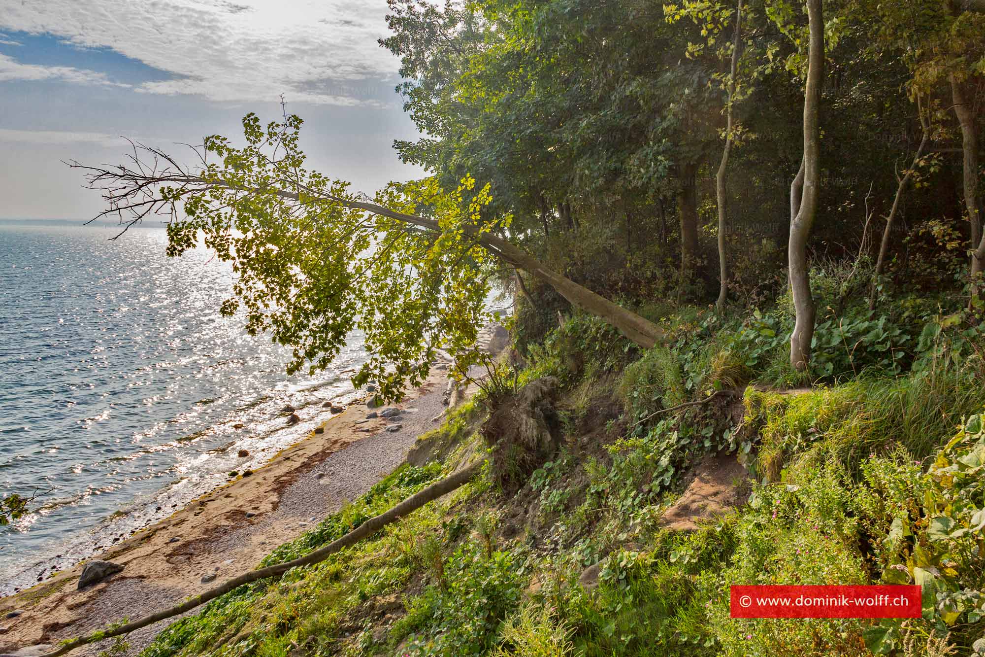 Bild + Foto - Brodtener Steilküste in Schleswig-Holstein