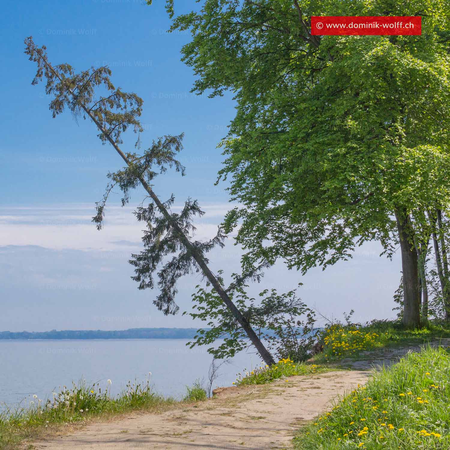 Bild + Foto - Steilufer an der Lübecker Bucht