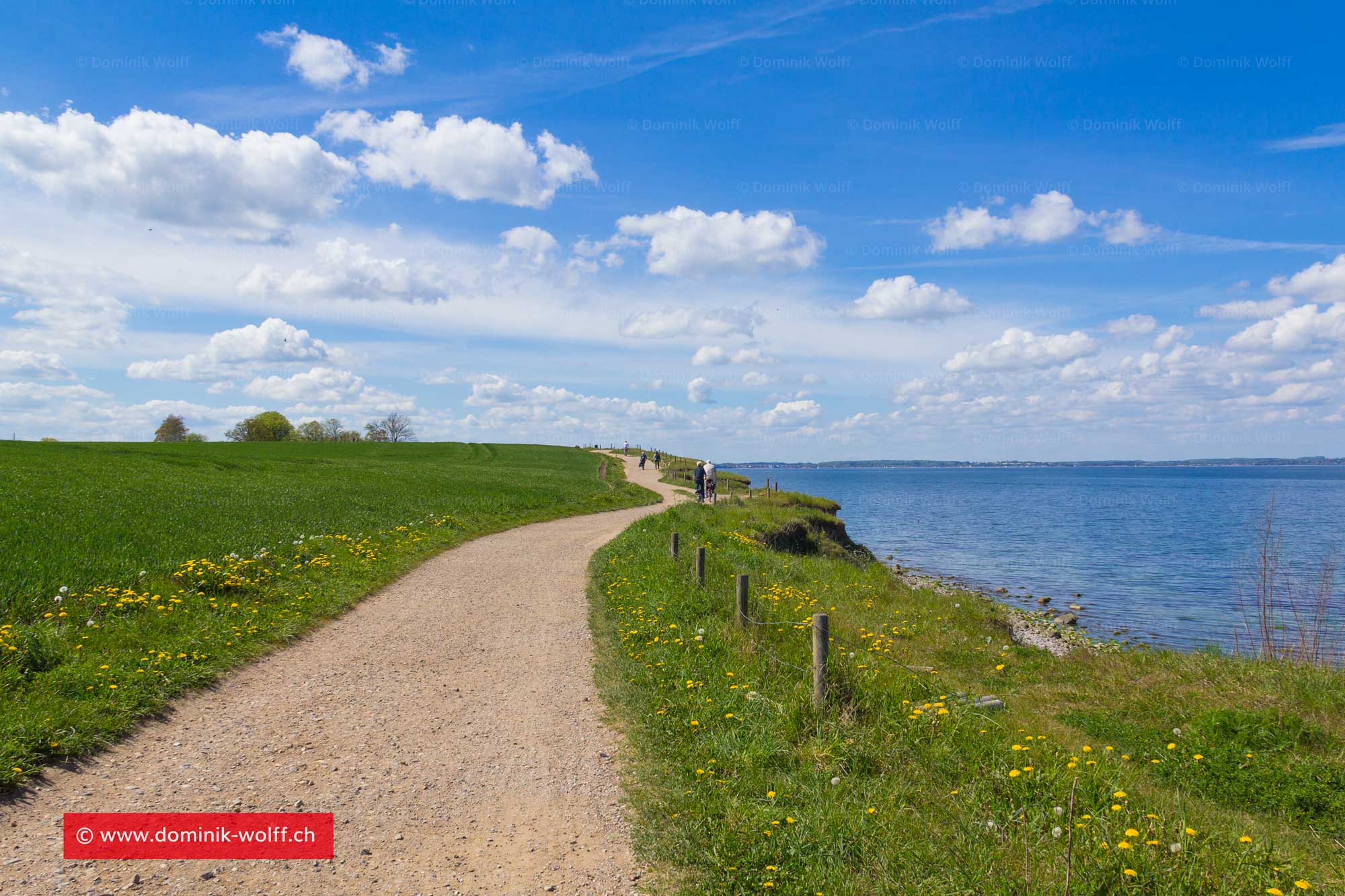 Frühling am Brodtener Steilufer