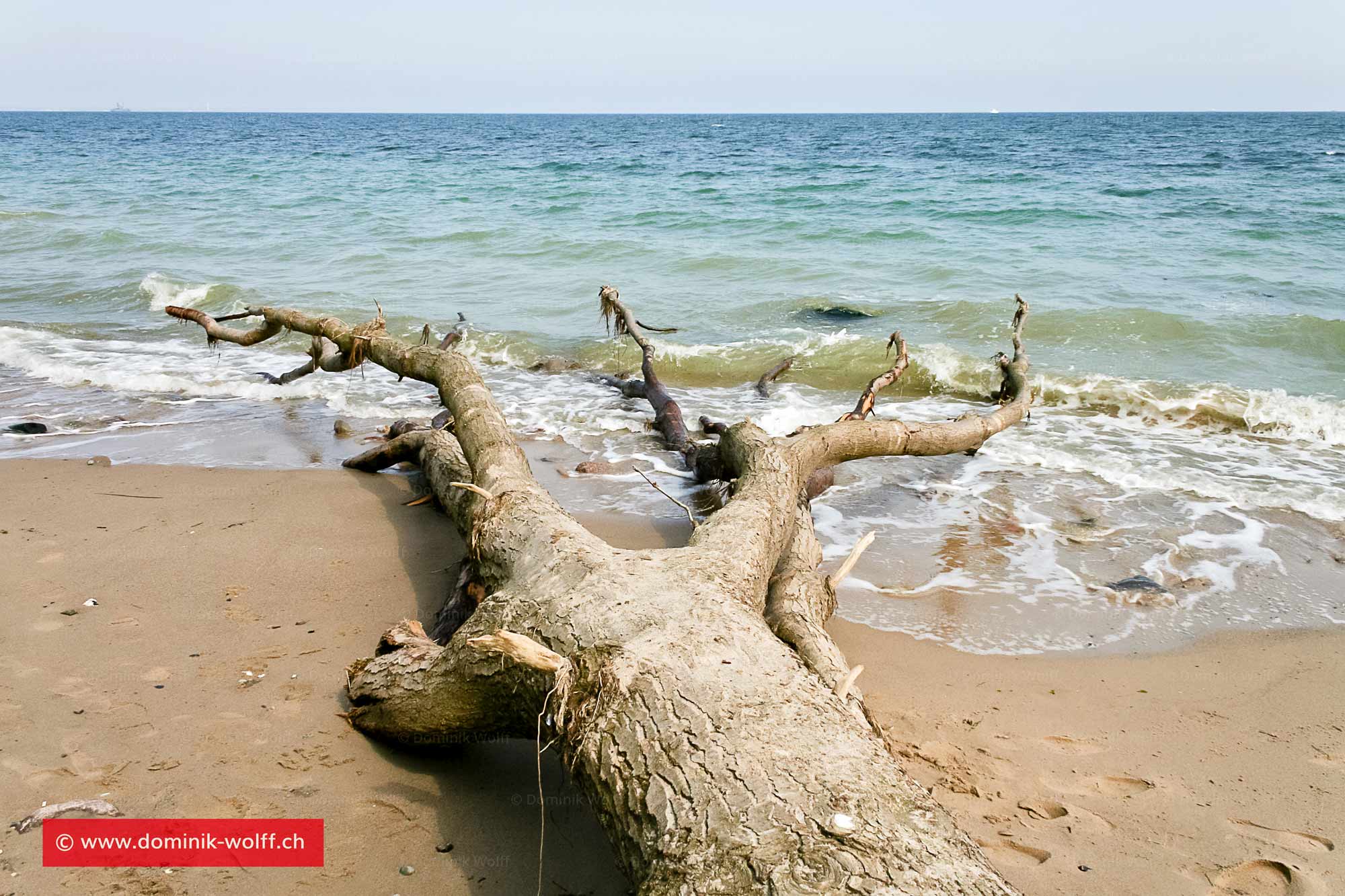 Bild + Foto - Ostseeküste am Brodtener Steilufer