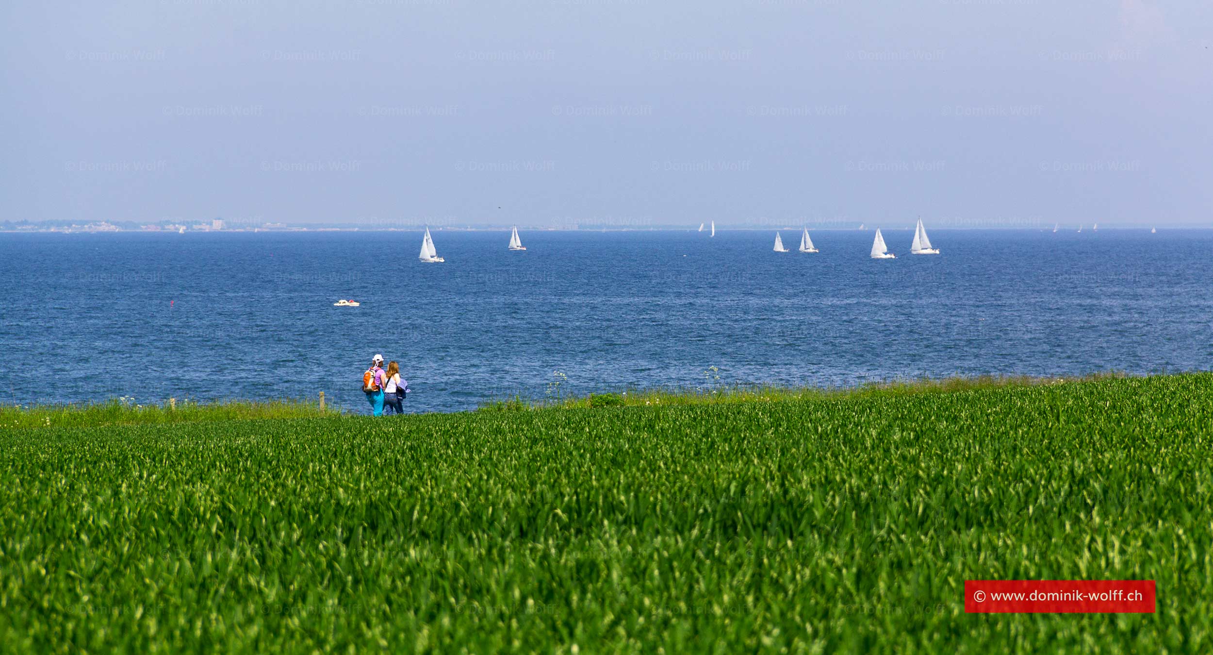 Bild + Foto - Das unbebaute Ostseeufer von Travemünde