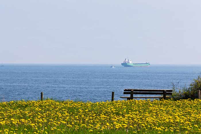 Steilufer an der Lübecker Bucht