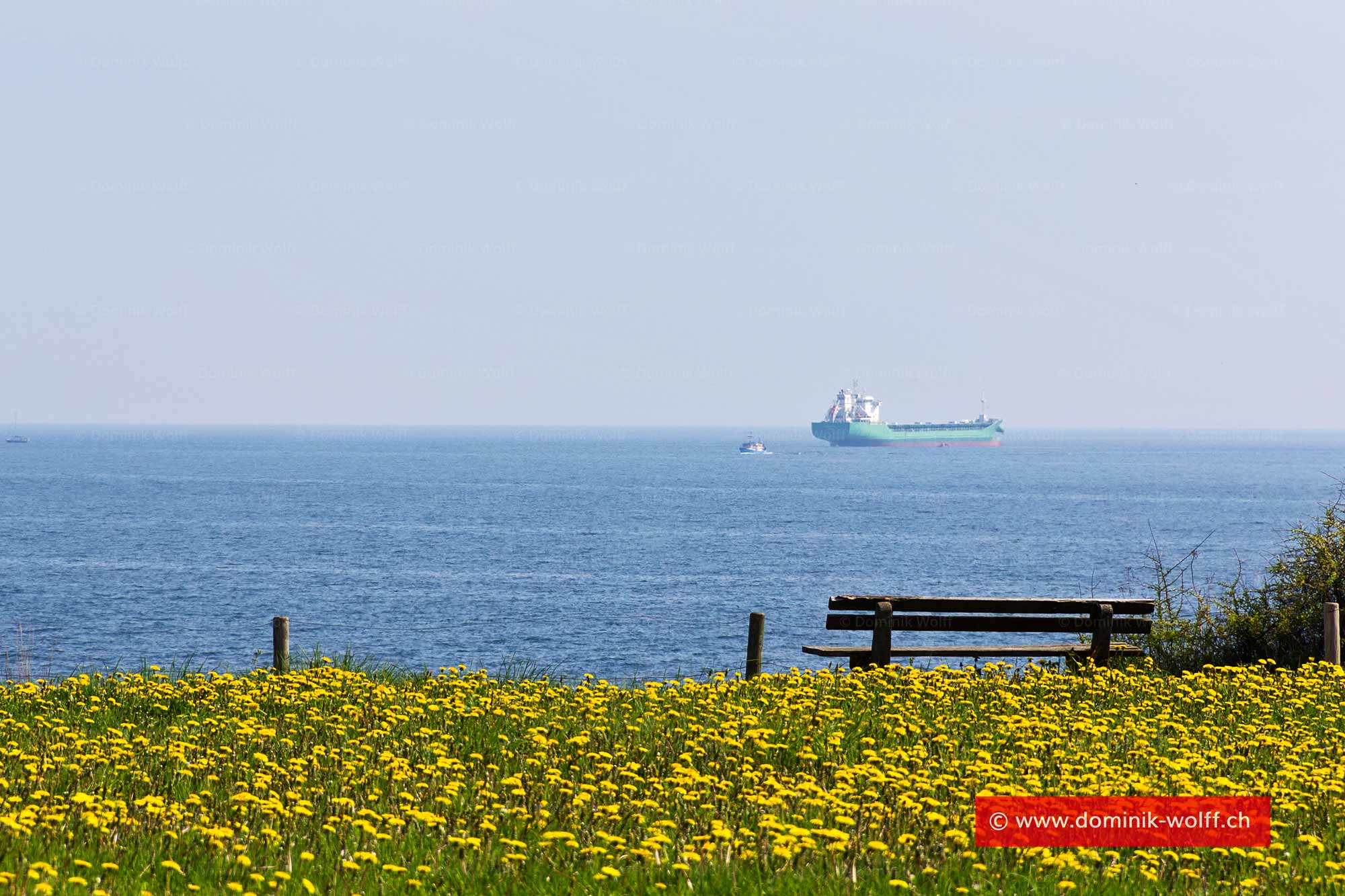 Steilufer an der Lübecker Bucht