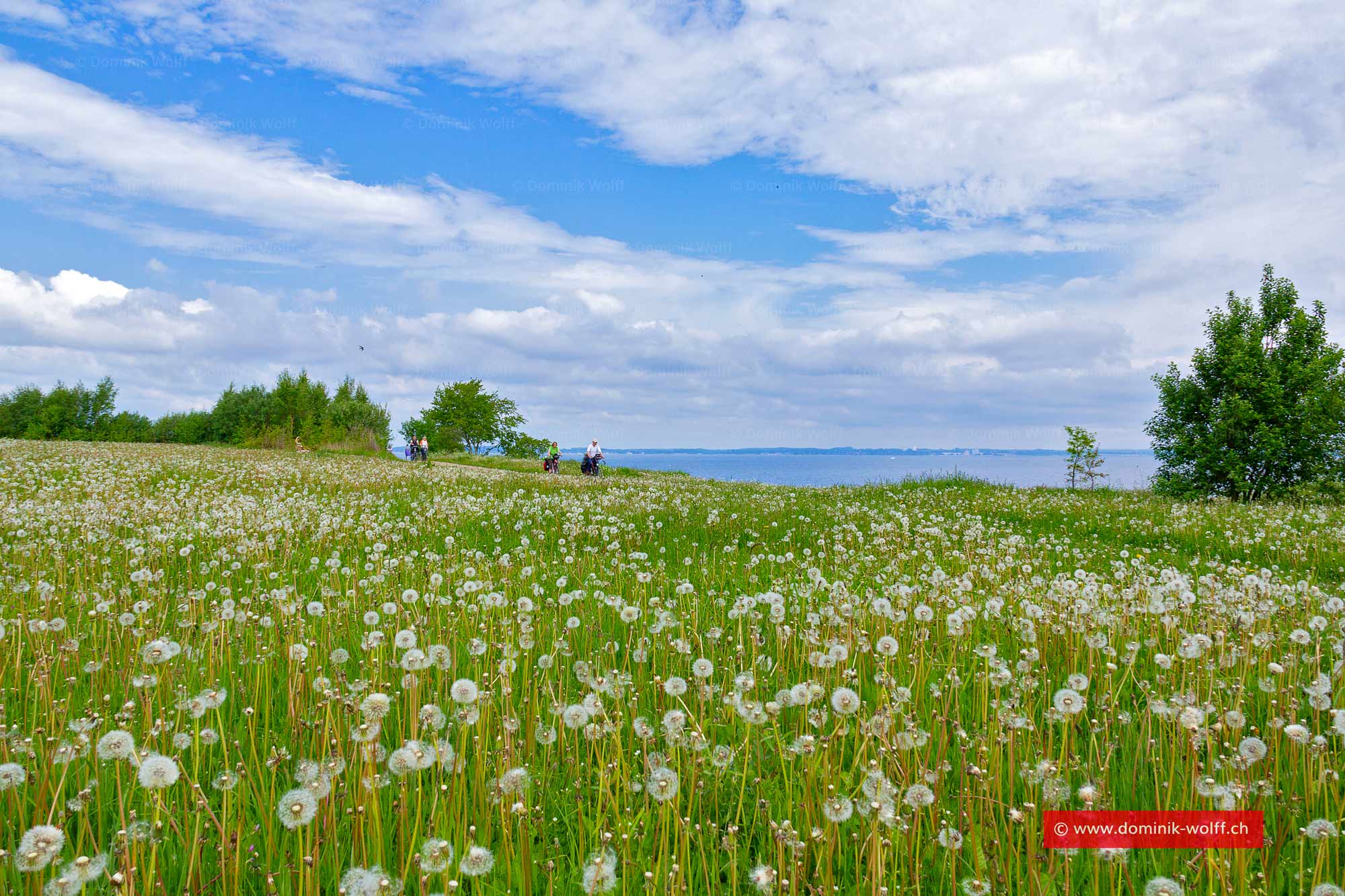 Brodtener Ufer in Schleswig-Holstein