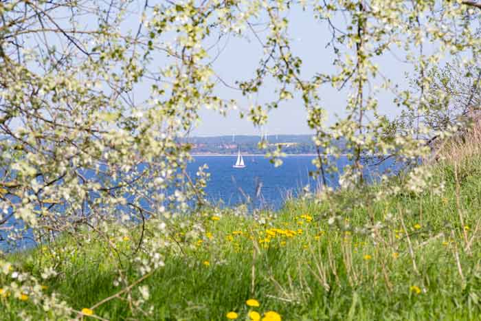 Wanderweg am Brodtener Steilufer