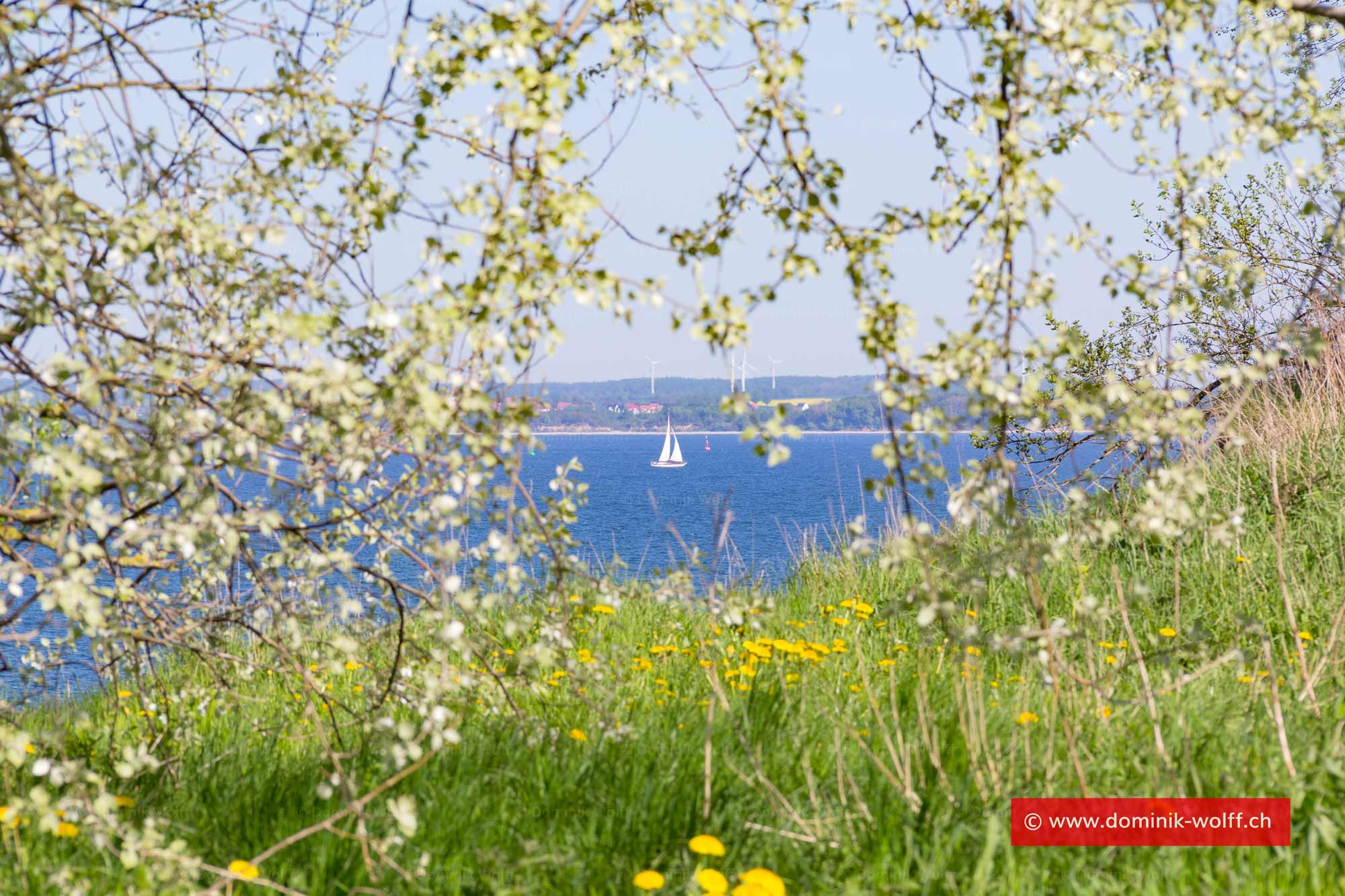 Bild + Foto - Wanderweg zwischen Niendorf und Travemünde