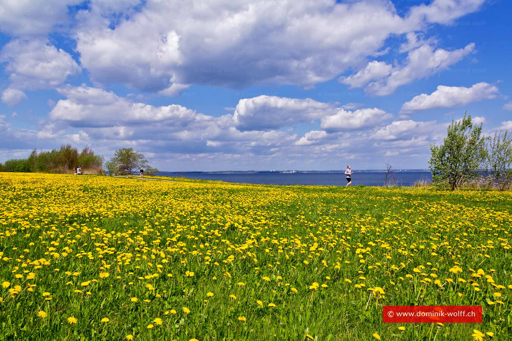 Bild + Foto - Das Brodtener Ufer an der Ostsee