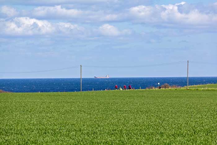 Brodtener Steilküste in Travemünde