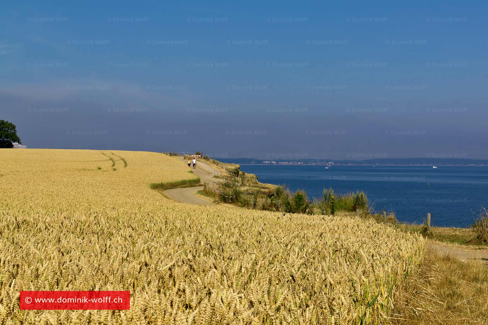 Bild + Foto - Wanderweg in Richtung Niendorf/Ostsee