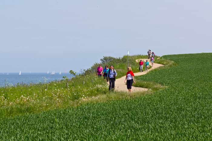 Wandern am Brodtener Steilufer