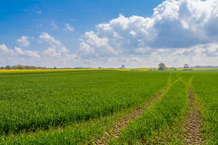 Landschaftsschutzgebiet Brodtener Winkel