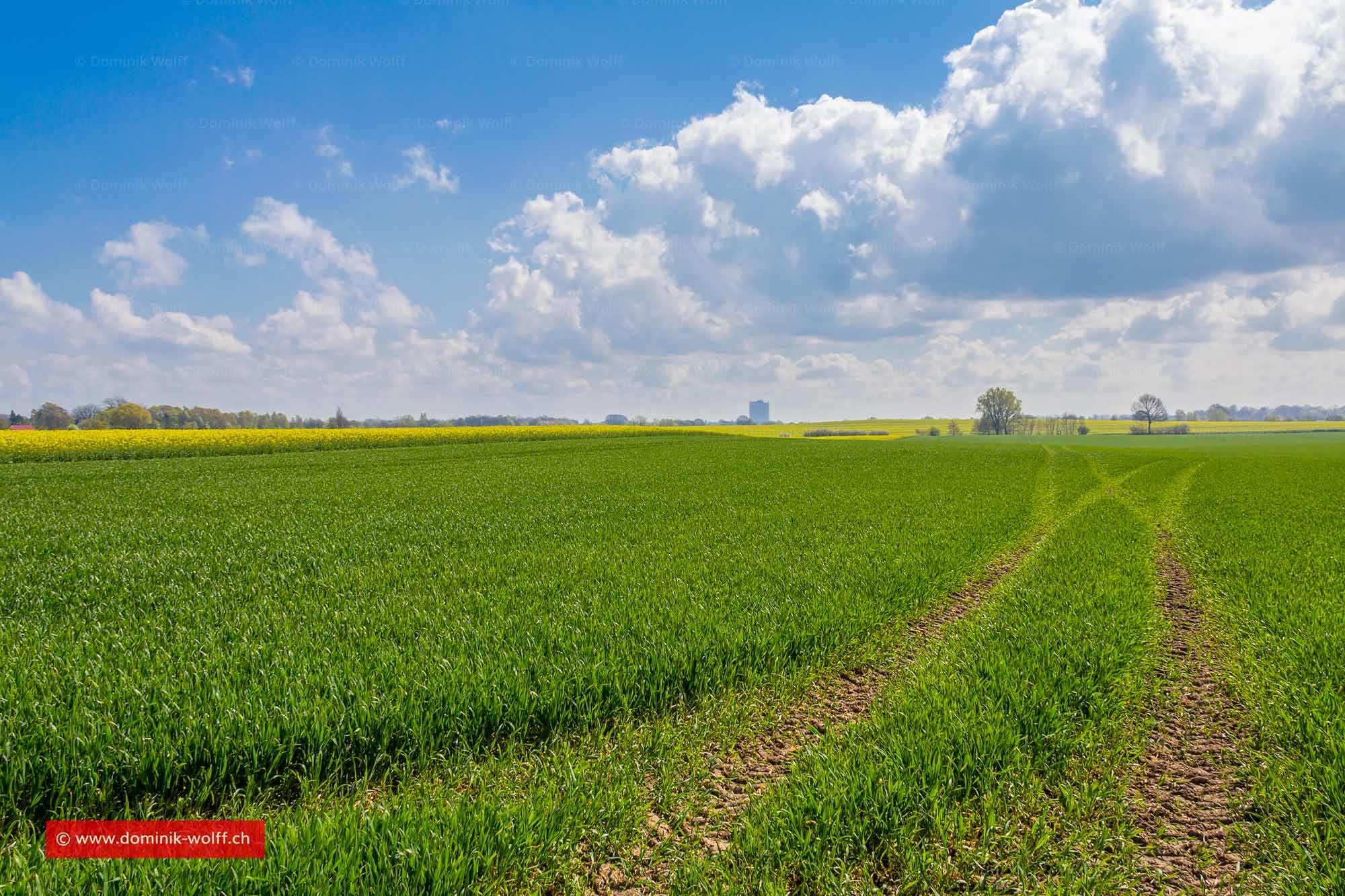 Bild + Foto - Das Hinterland Brodtener Winkel