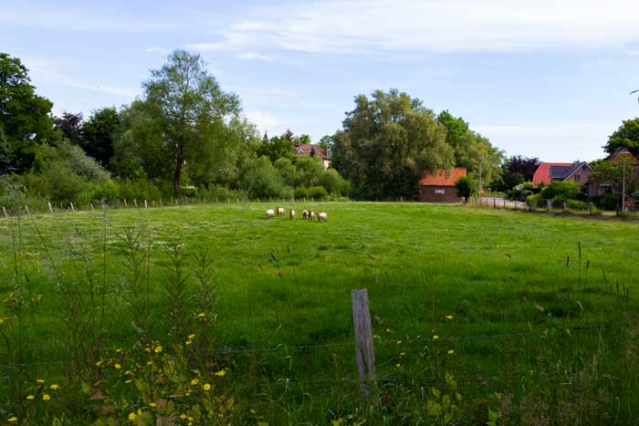 Grünes Zentrum von Brodten