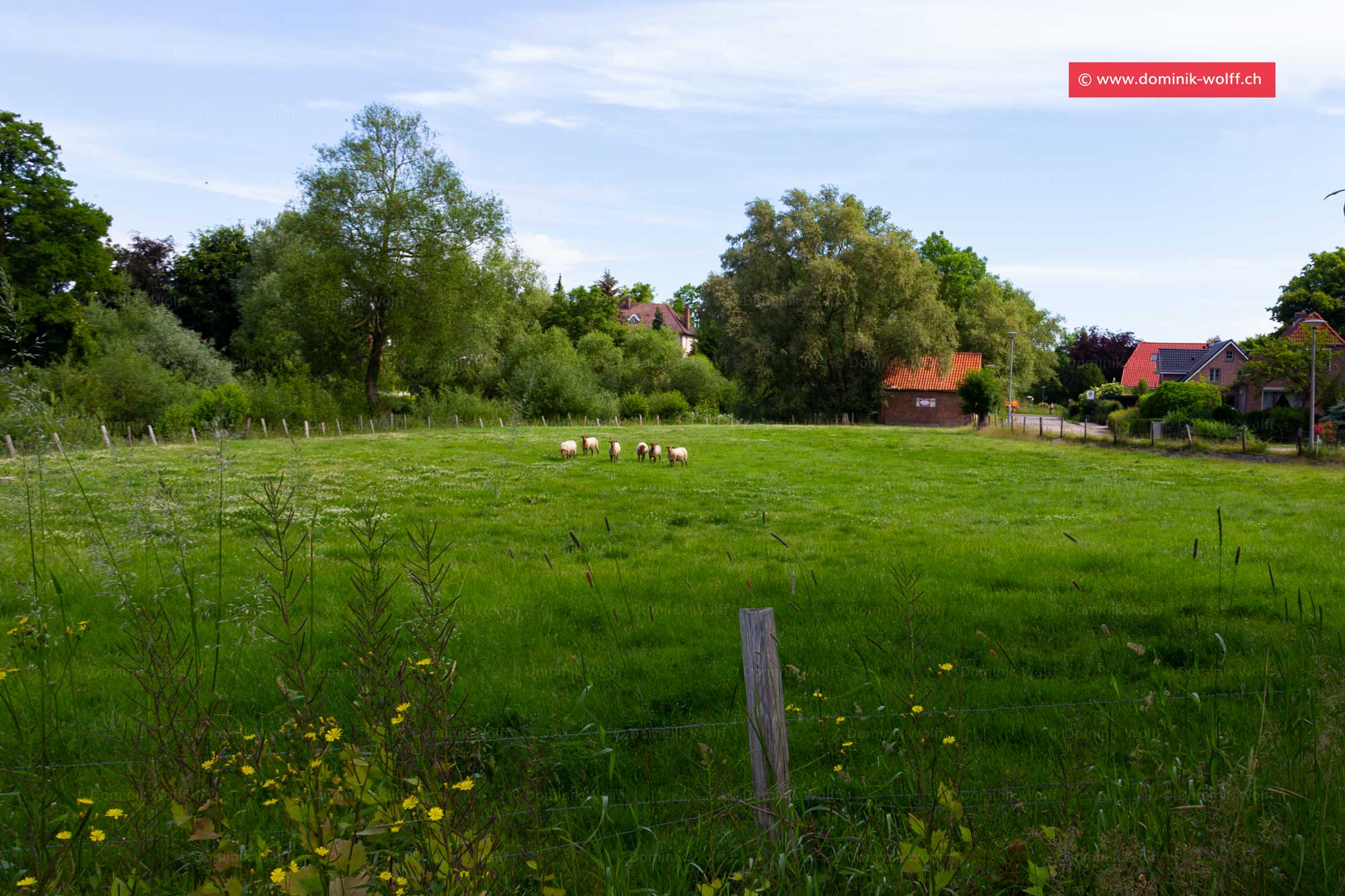 Bild + Foto - Dorfzentrum am Dorfteich von Brodten