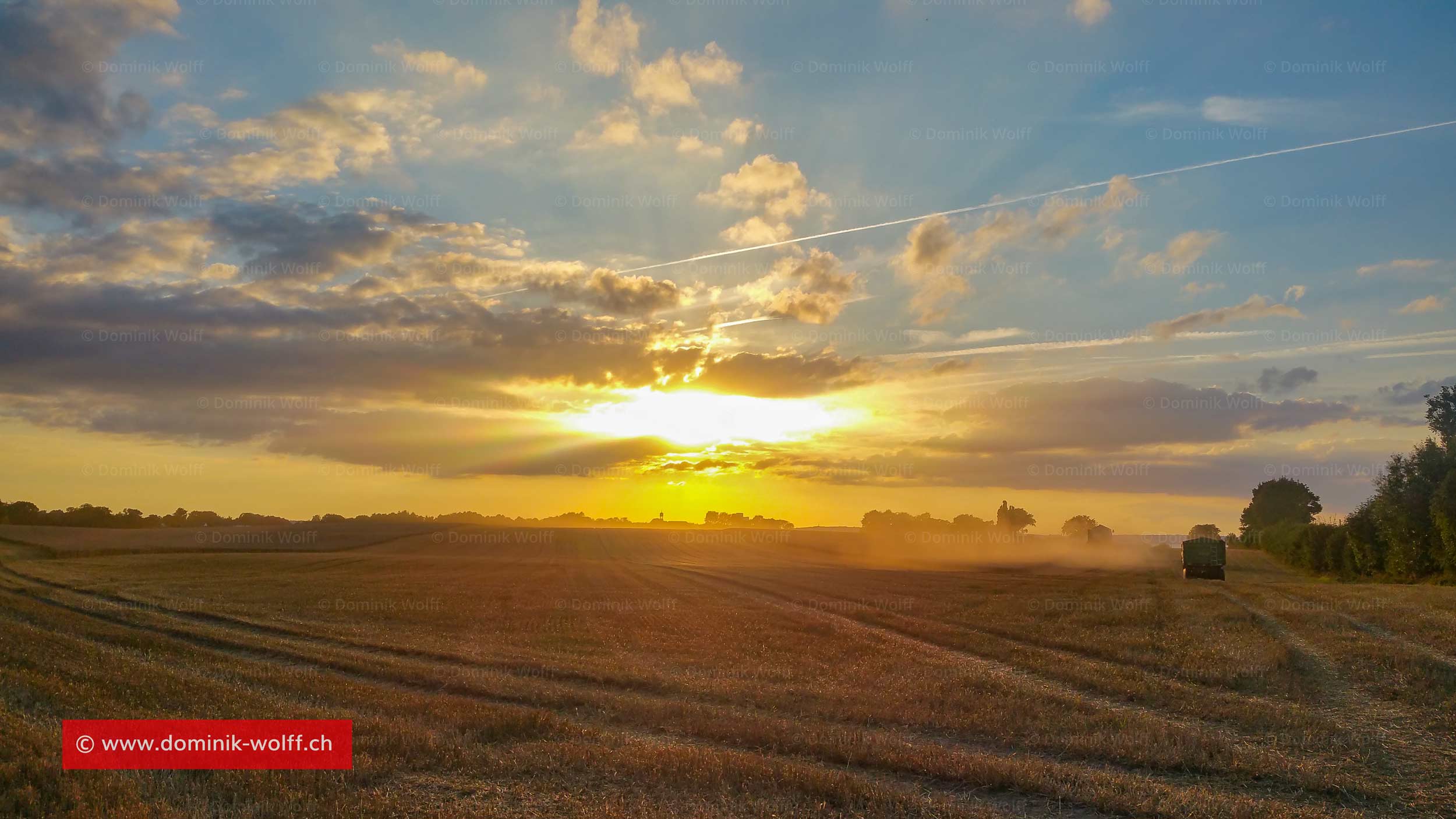 Bild + Foto - Getreideernte in Brodten in Schleswig-Holstein