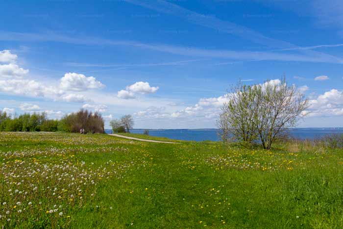 Frühling am Brodtener Steilufer