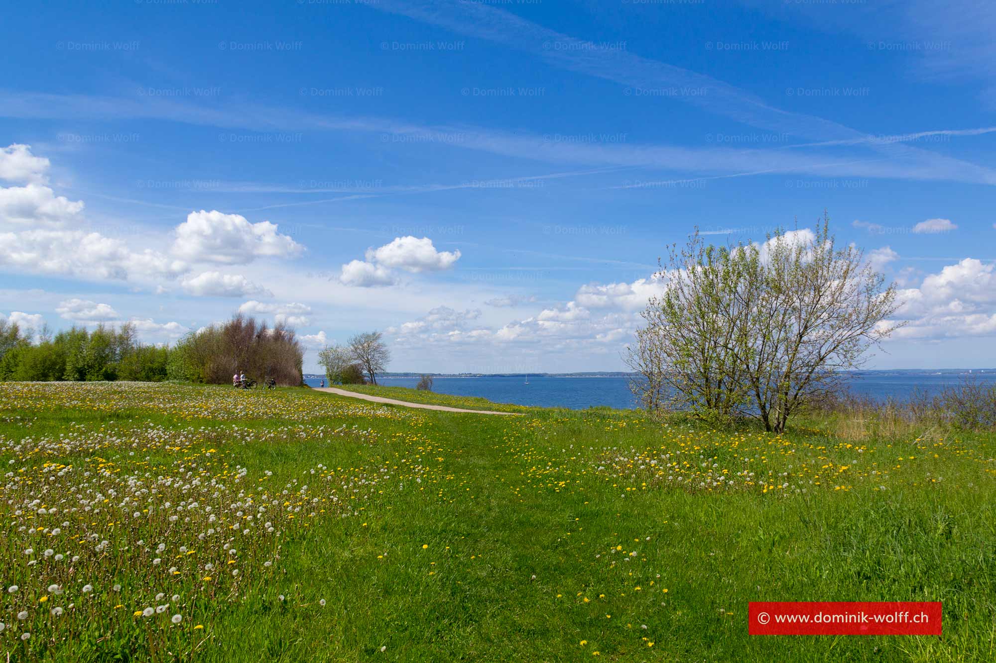 Frühling am Brodtener Steilufer