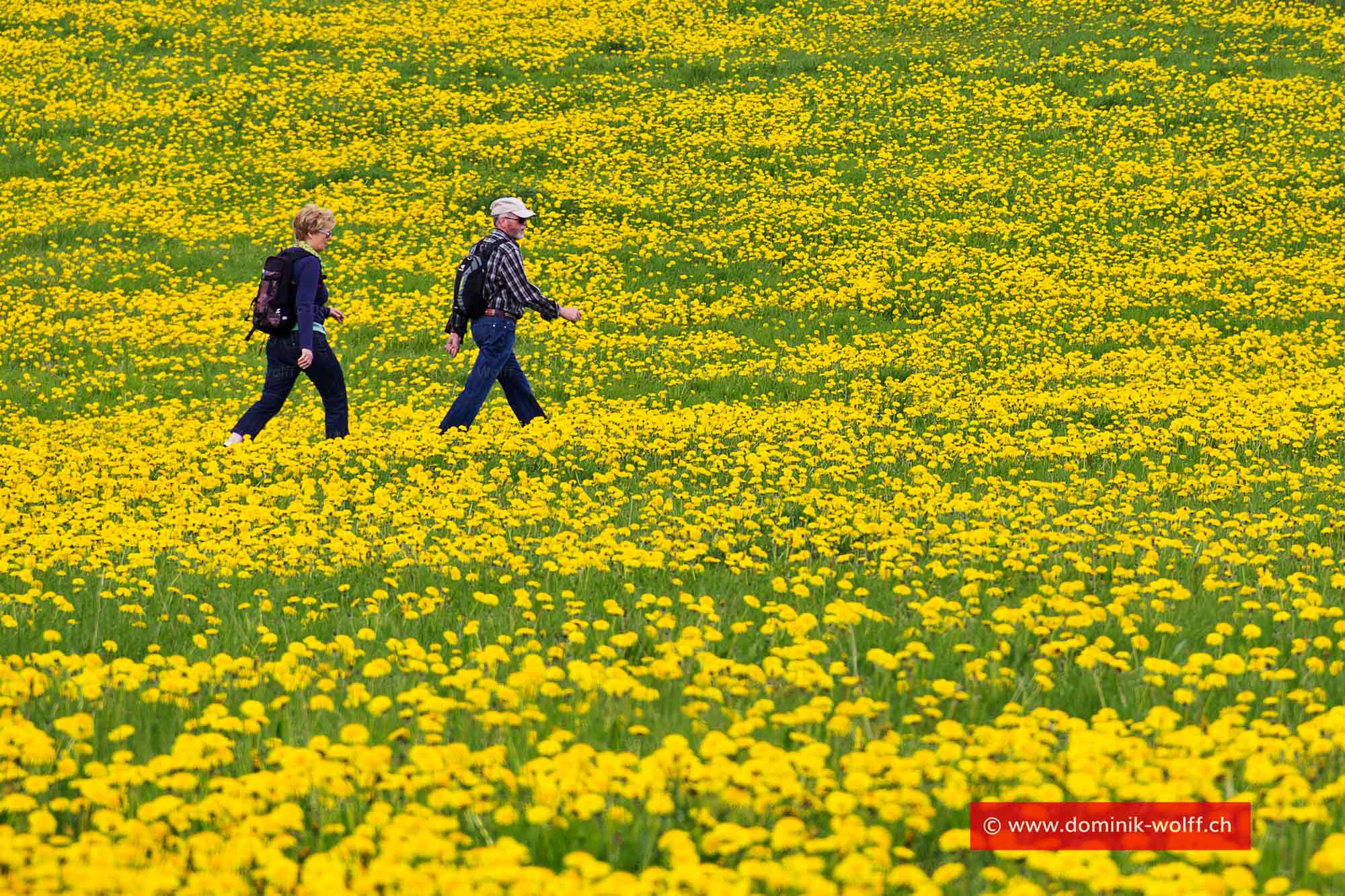 Bild + Foto - Frühling in Travemünde/Ostsee