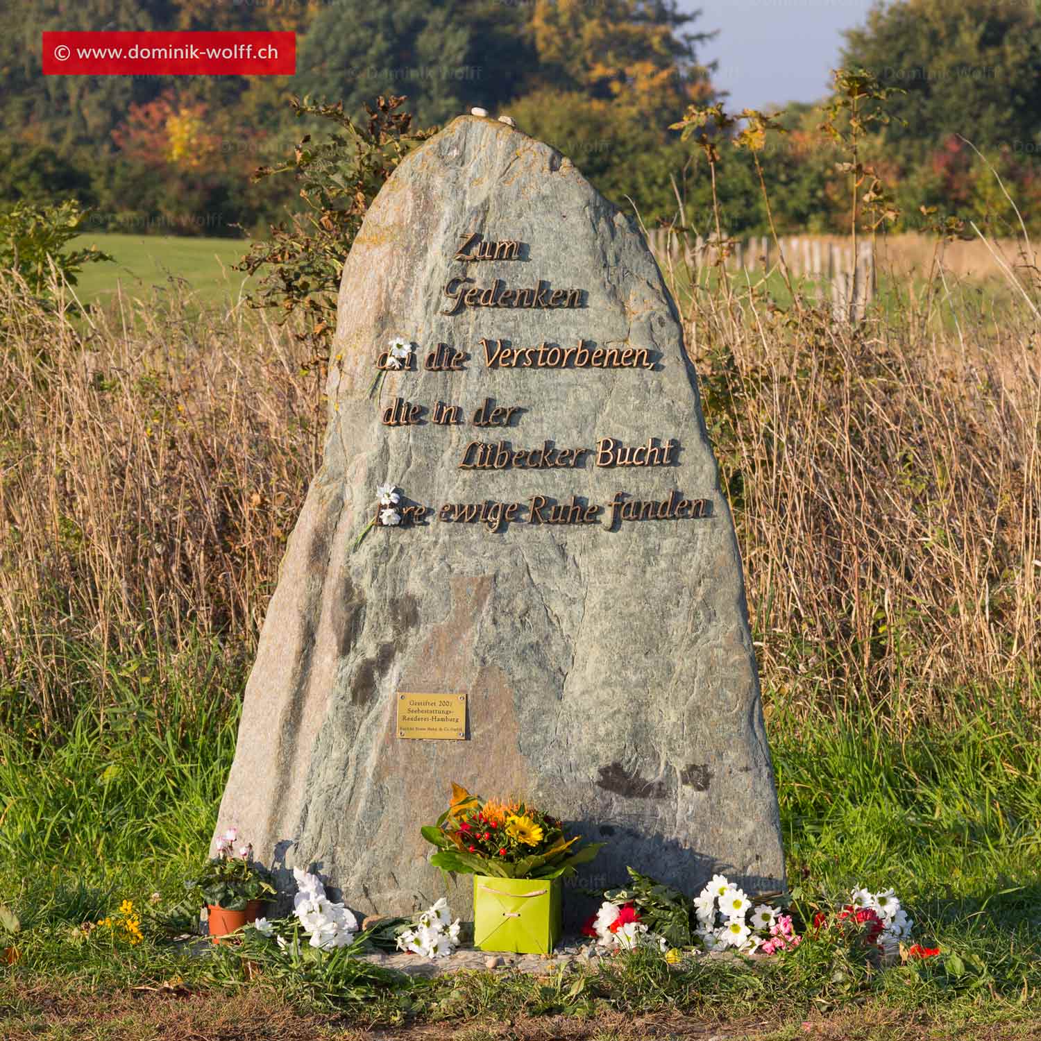 Bild + Foto - Gedenkstein am Brodtener Steilufer