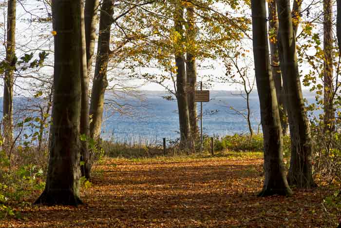 Herbst am Brodtener Steilufer