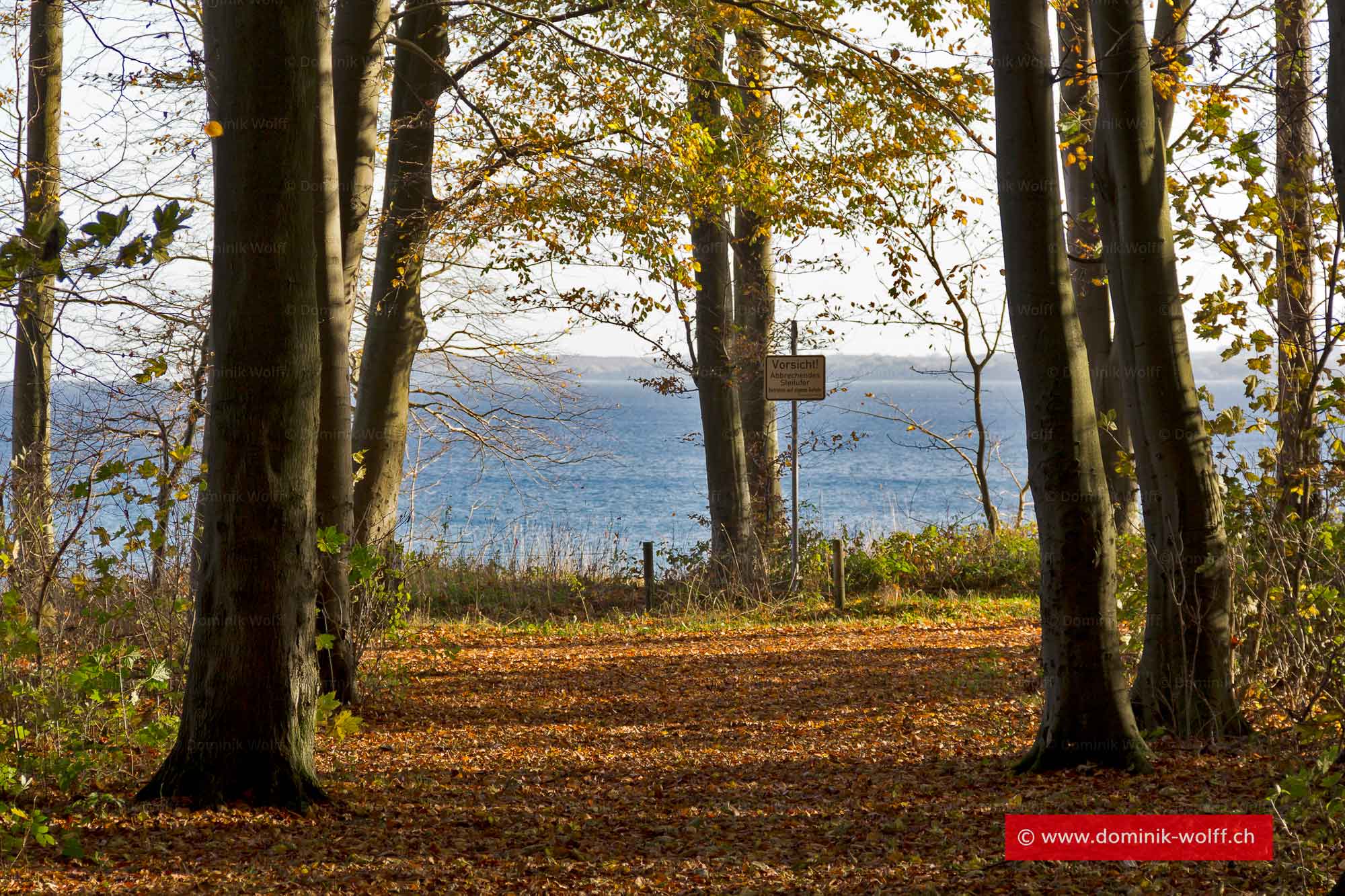 Herbst am Brodtener Steilufer