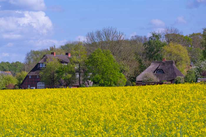 Das Dorf am Brodtener Steilufer
