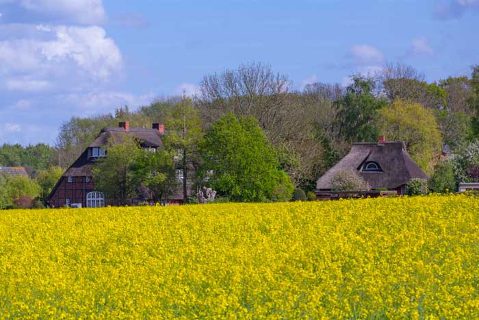 Das Dorf am Brodtener Steilufer