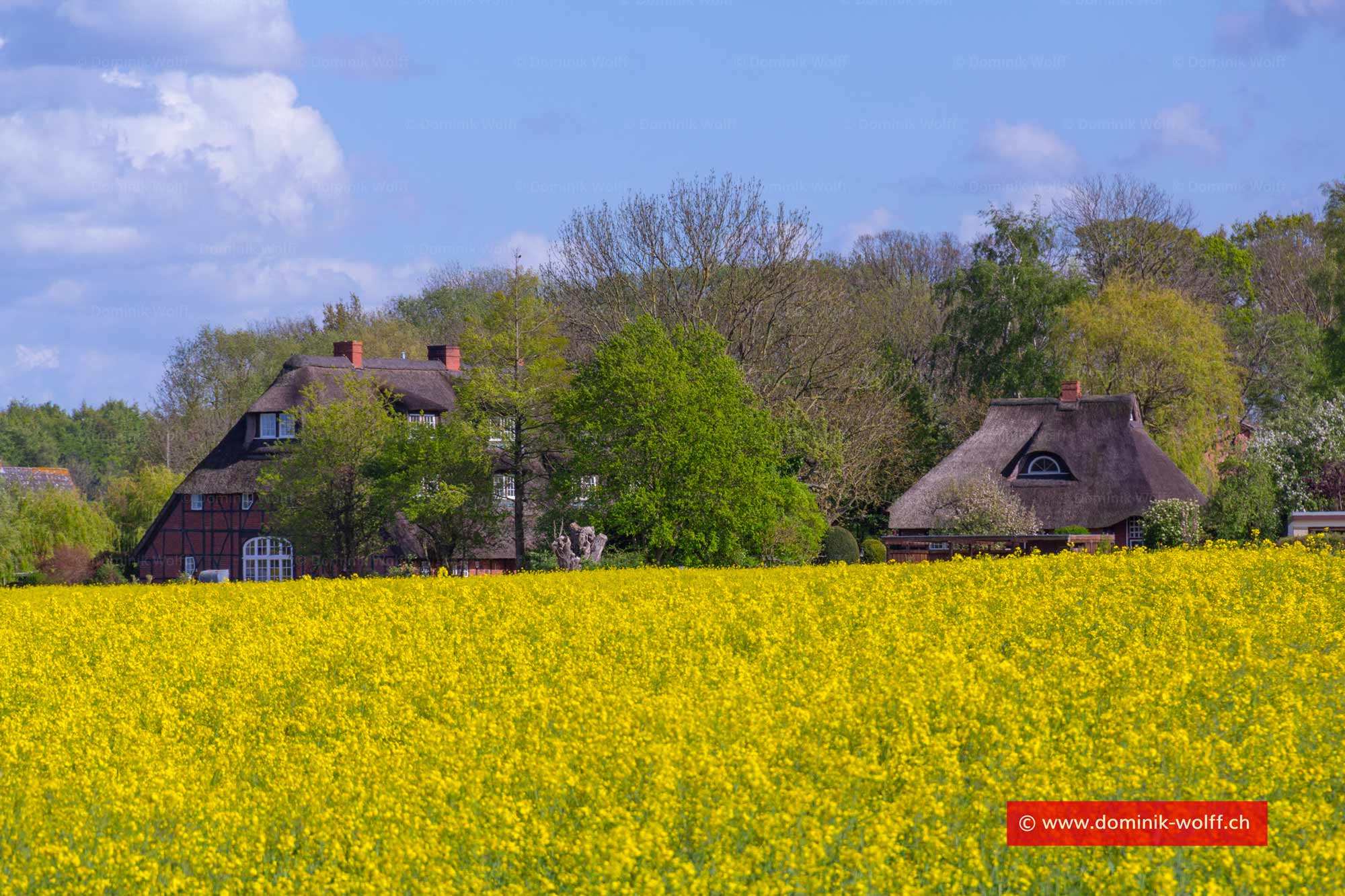 Das Dorf am Brodtener Steilufer