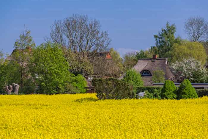 Brodten nahe dem Steilufer