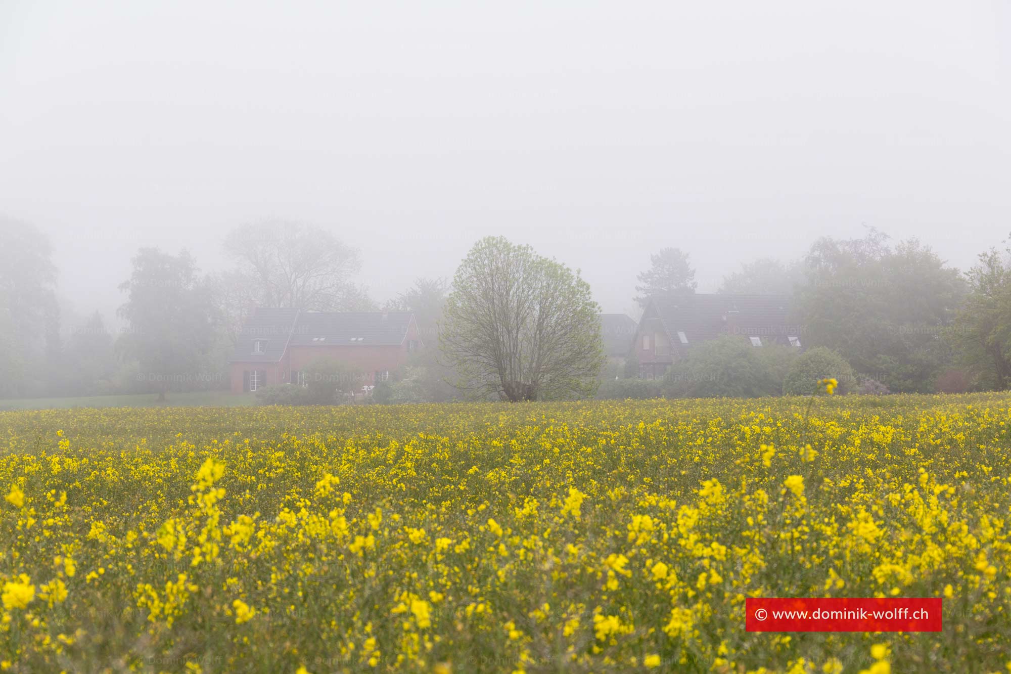 Nebel am Brodtener Winkel