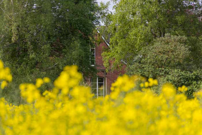 Brodten in Schleswig-Holstein