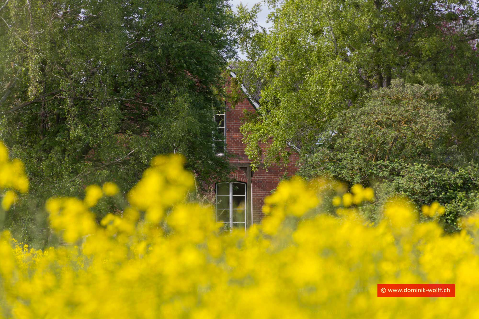 Brodten in Schleswig-Holstein