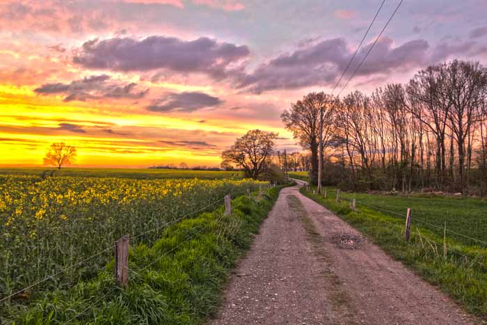 Weg zum Brodtener Steilufer