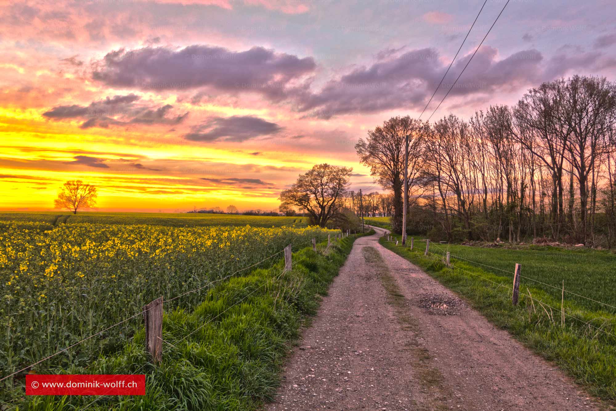 Weg zum Brodtener Steilufer