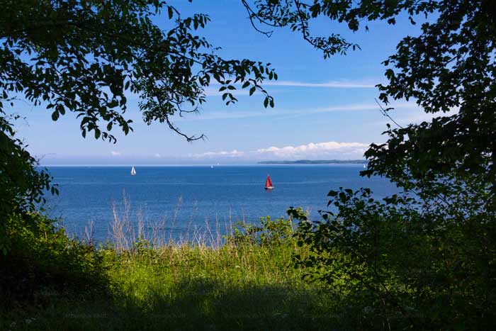 Durchblick am Brodtener Steilufer