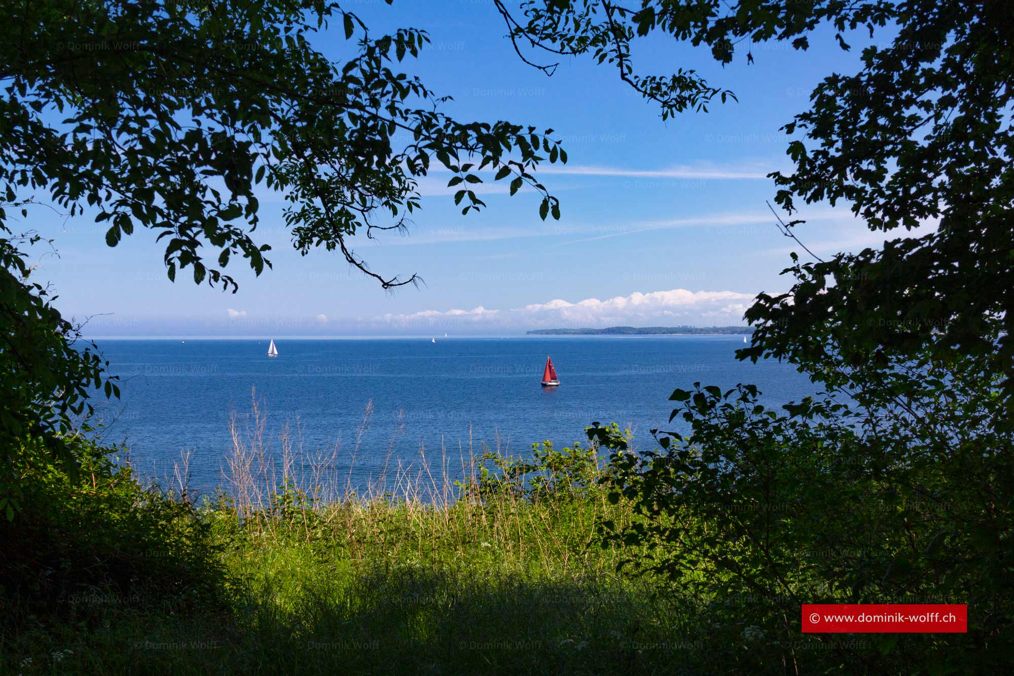 Durchblick am Brodtener Steilufer