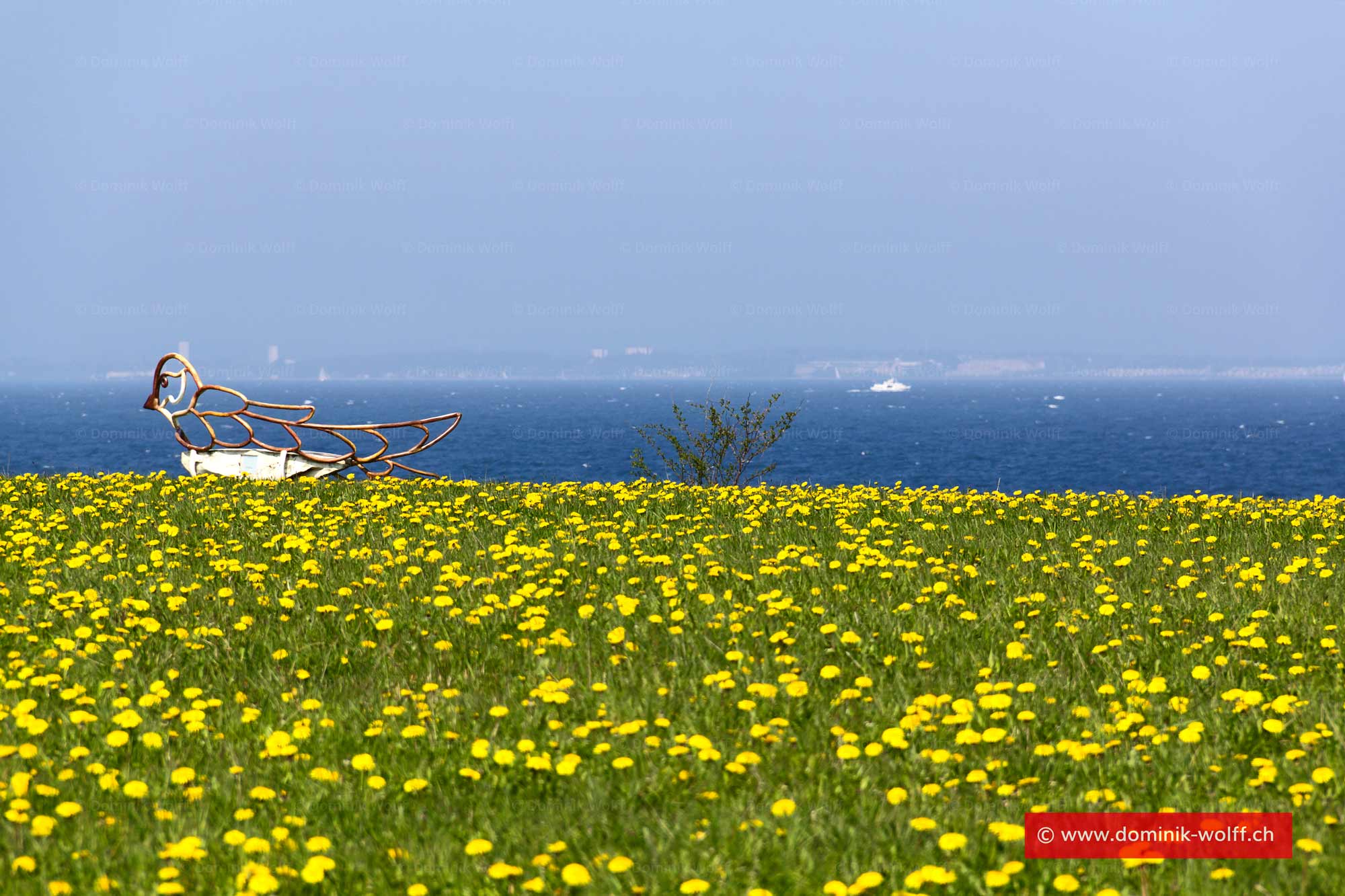 Bild + Foto - Ostseepanorama an der Lübecker Bucht