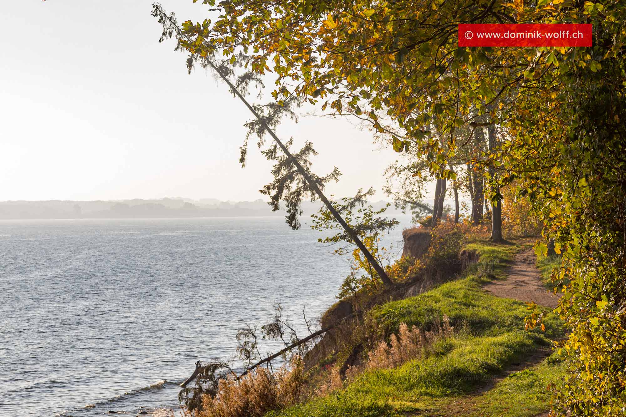 Bild + Foto - Oberer Wanderweg am Brodtener Steilufer