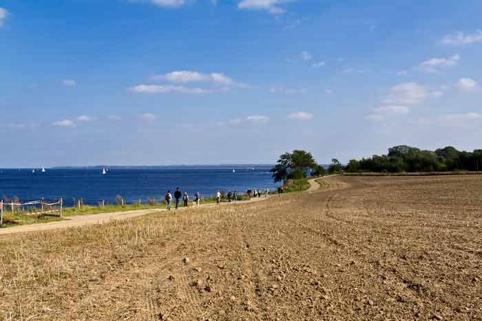 Spätsommer an der Brodtener Steilküste