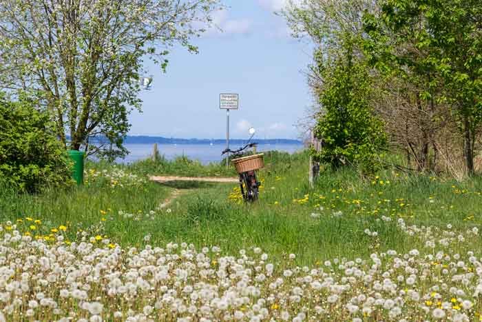 Frühling am Brodtener Steilufer