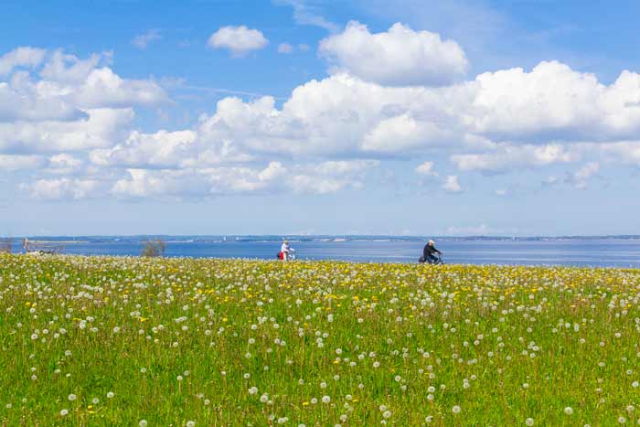 Fahrradweg am Brodtener Ufer