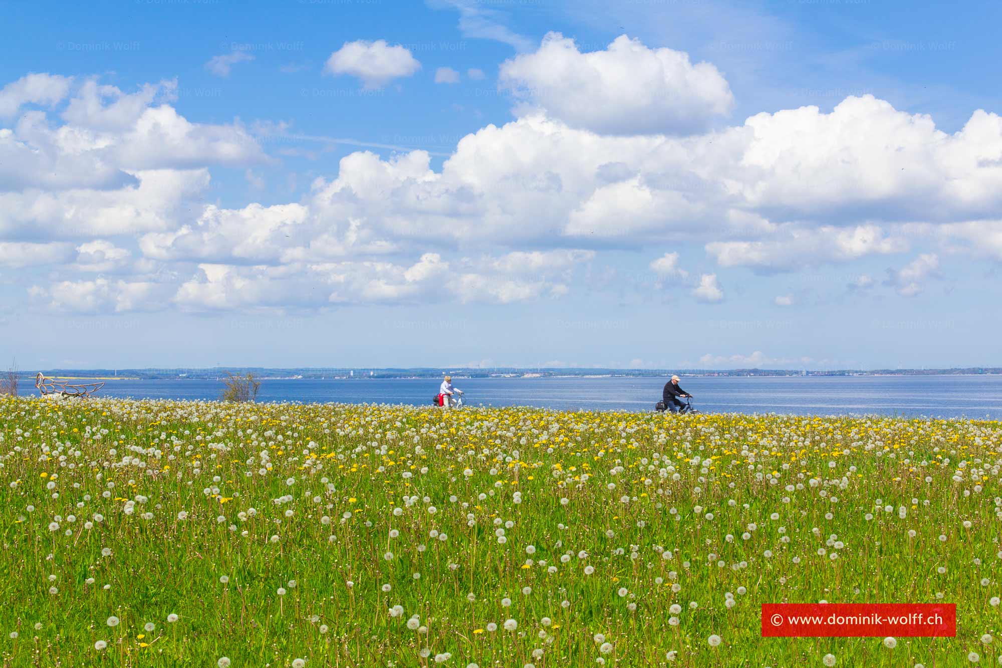 Bild + Foto - Radweg Niendorf + Timmendorfer Strand