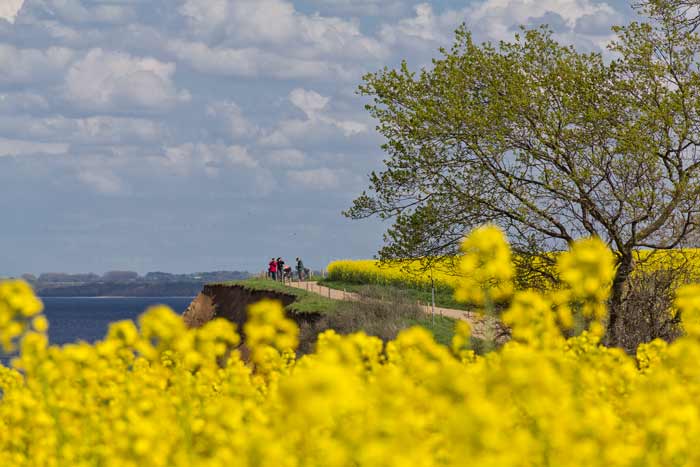 Fotografen am Brodtener Steilufer