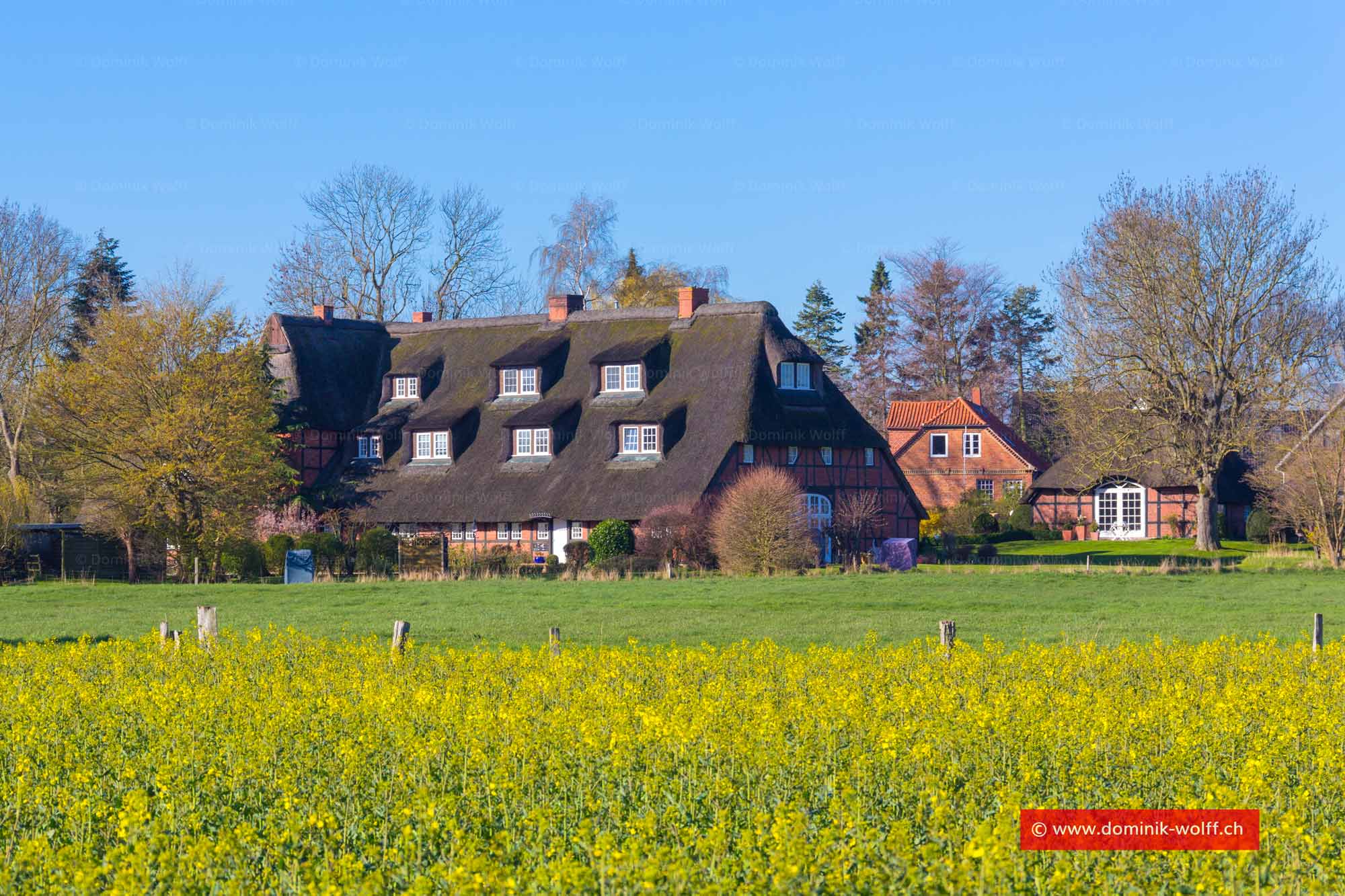 Frühjahr am Brodtener Steilufer